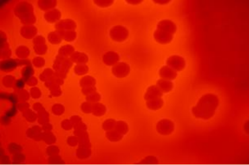 <p>What does this image show?</p>