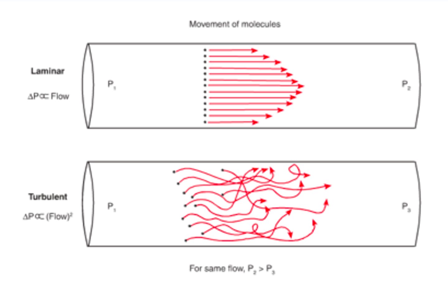 <p>Laminar Flow and Turbulent Flow; velocity is primary factor</p>