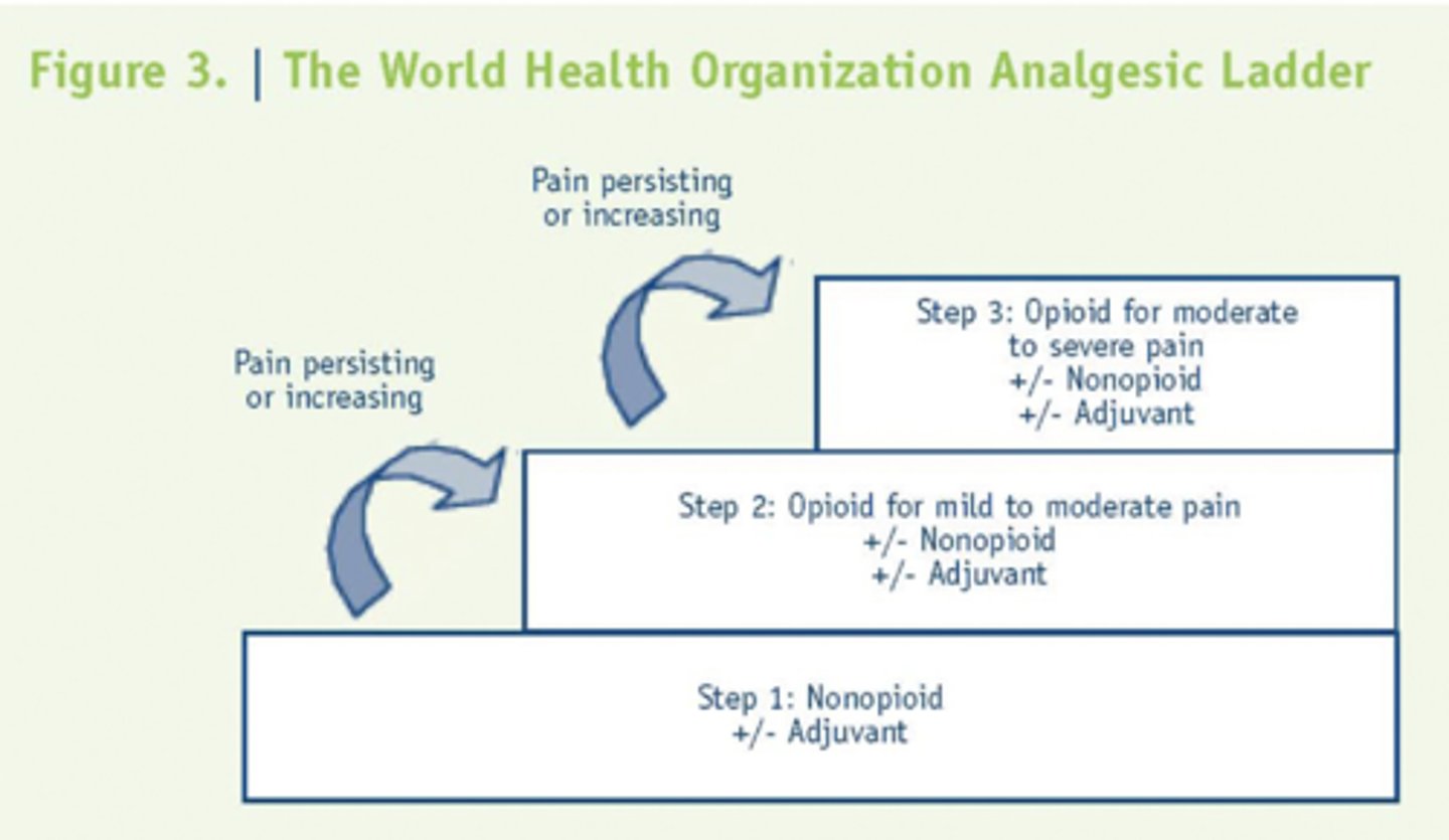 <p>- Step 1: Nonopioid analgesic</p><p>- Step 2: opioid for mild/mod pain</p><p>- Step 3: opioid for mod/severe pain</p>