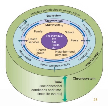 <p>Systematic examination of micro and macro dimensions of environmental systems.</p><p>Attention to connections between environmental systems.</p><p>Emphasis on other social contexts than family.</p>