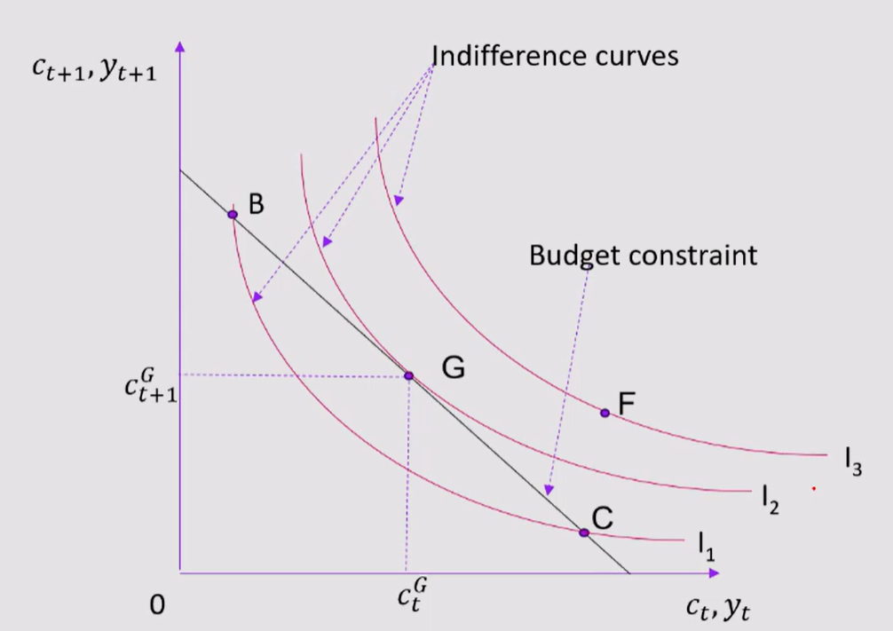 <p>Optimal point on the Budget Constraint: </p>