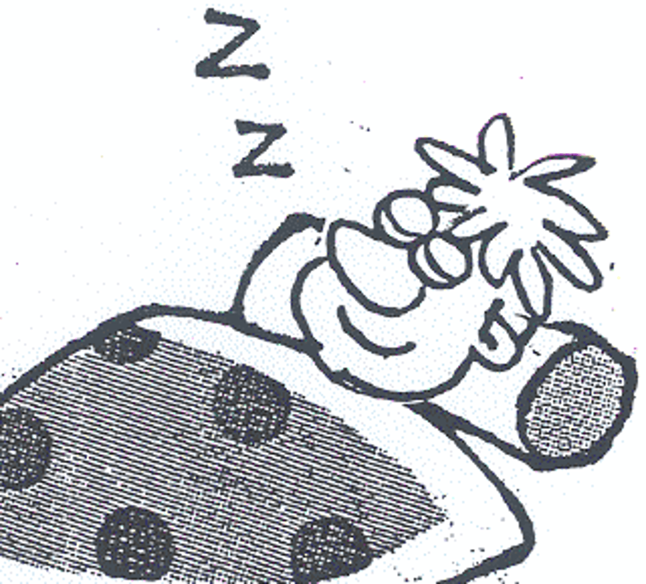 <p>ngủ</p>