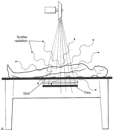 <p><span>many directions with different energy levels</span></p>