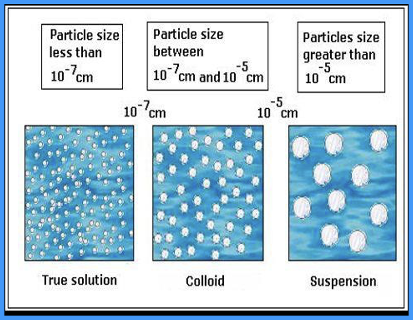 <p>what is a colloid </p>