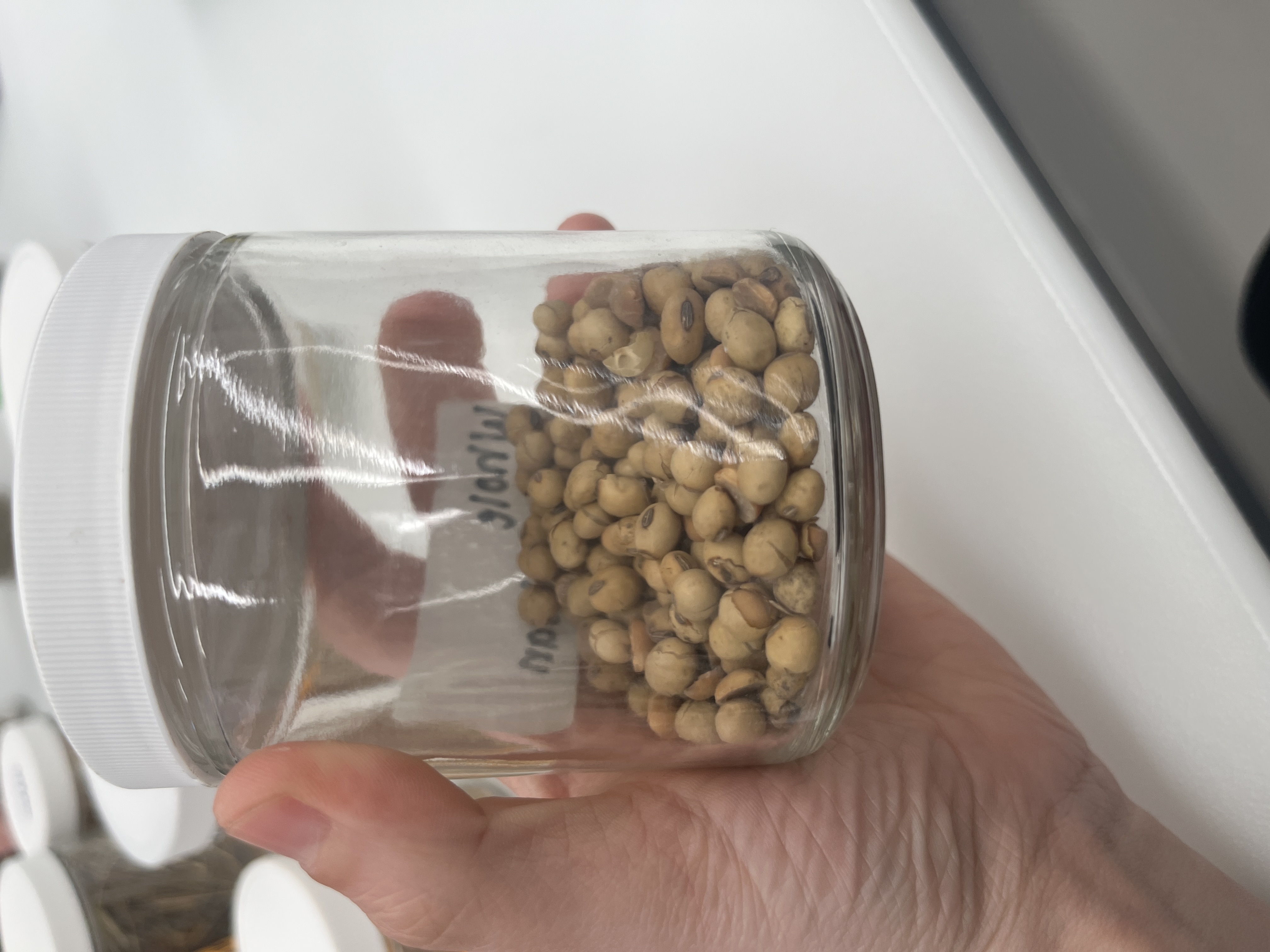 <p>what feed is this?</p>