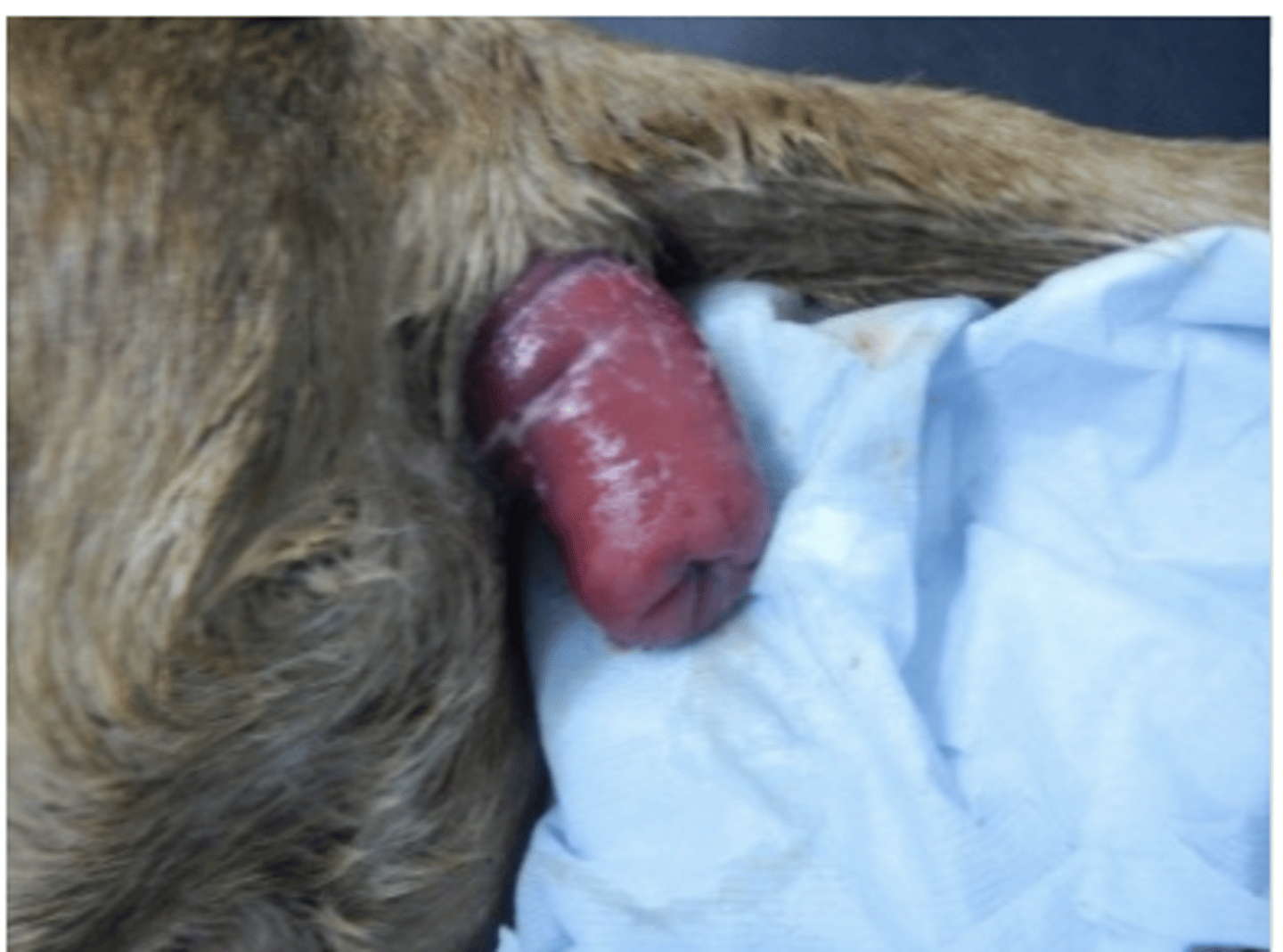 <p>what is the issue?</p>