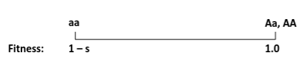 <p>Heterozygote fitness equal to that of homozygous dominant</p>