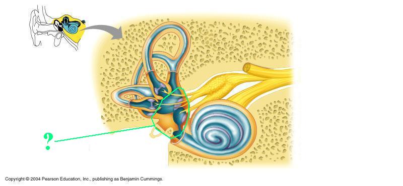 <p><span><span>Identify the indicated region</span></span></p>