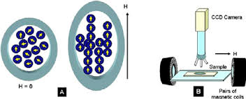<p>Useful Magnetic Support Materials can be Produced by:</p><p>Encapsulation</p>