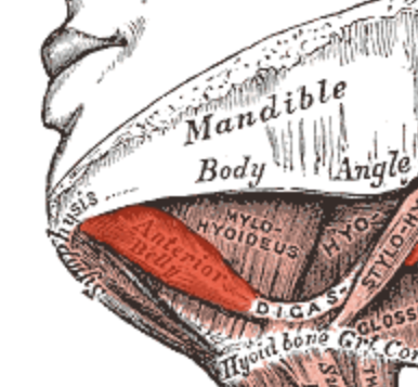 <p>slanted chunk next to the middle line</p>