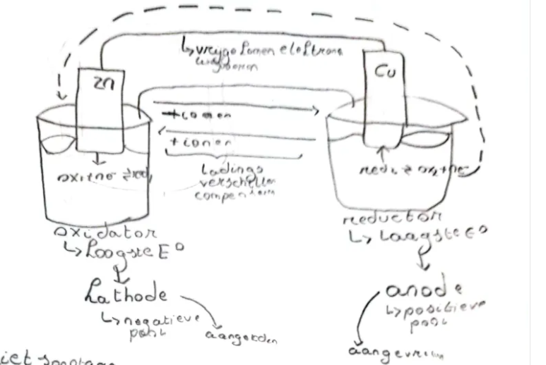 knowt flashcard image