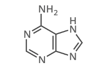 <p>what is this?</p>