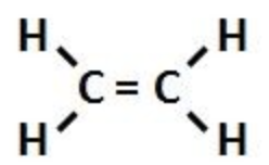 <p>carbon to carbon double bond (Class)</p>