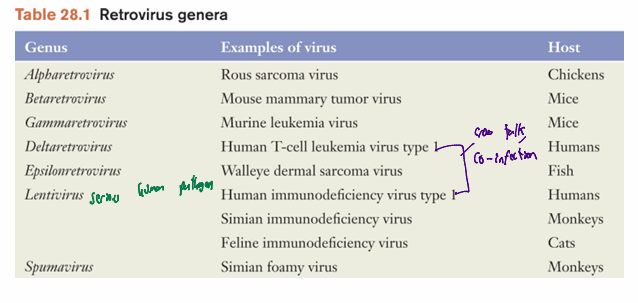 <ul><li><p>infect wide range of organisms</p></li><li><p>can cause AIDS and leukemia in humans</p></li></ul><p></p>