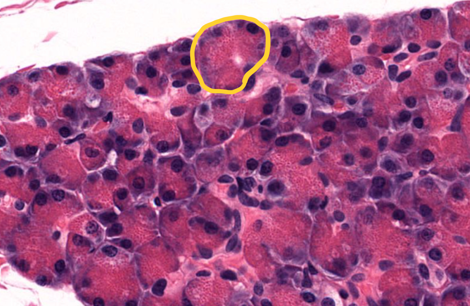 <p>What is this?</p>