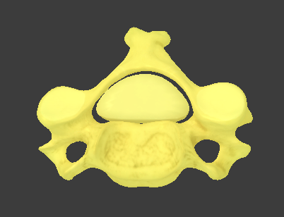<ul><li><p>small and oval-shaped</p></li><li><p>hole (foramen) in the transverse process for the artery ascending the neck</p></li><li><p>fork-shaped spinous process</p></li></ul><p></p>