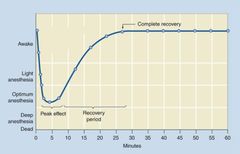 <p>What type of induction agent does this curve represent?</p>