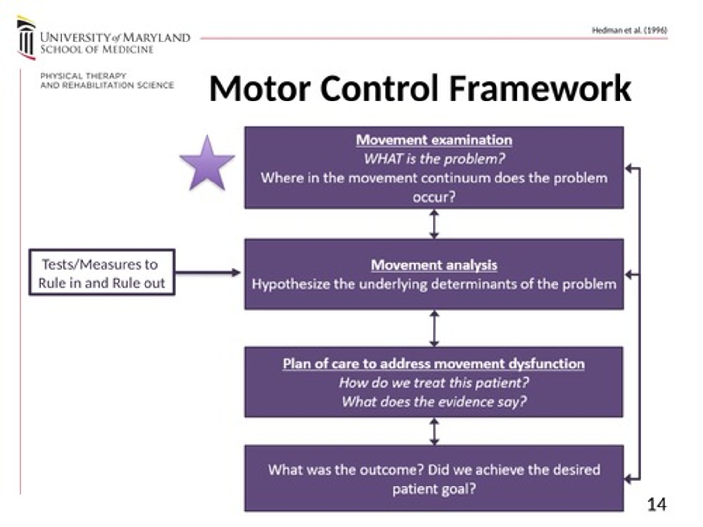 <p>movement examination, movement analysis, plan of care to address movement dysfunction, outcome</p>