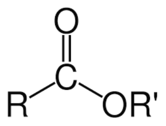 <p>R-COO-R</p>