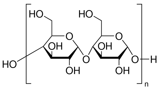 <p>Polyosides ou Polysaccharides complexes: L’amidon</p>