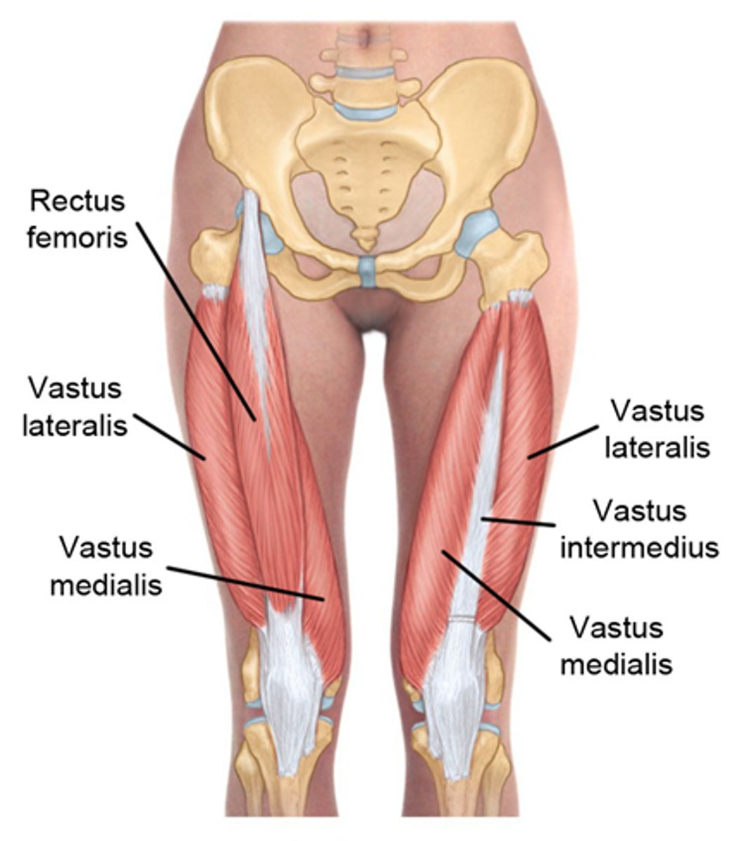 <p>Inferior to the anterior iliac crest</p>