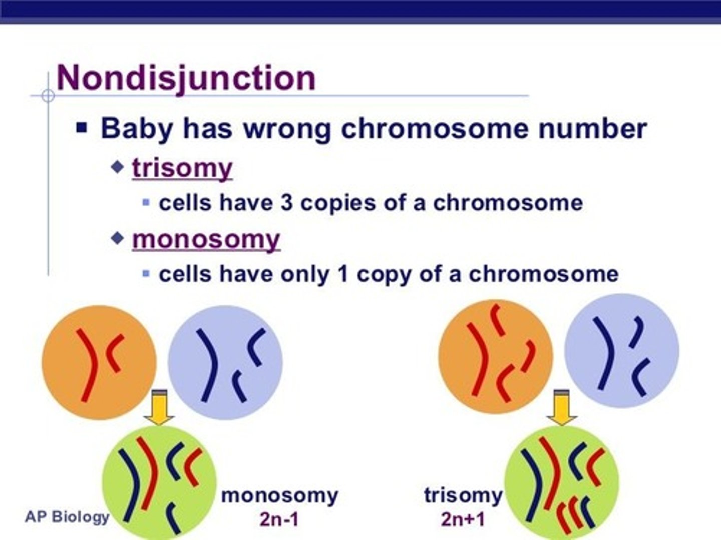 <p>(C) Trisomy, Monosomy</p><p>If a nondisjunction event resulted in both copies of a chromosome in the fertilizing gamete, then the zygote will have Trisomy; if the fertilizing gamete had neither copy of a chromosome, the zygote will have Monosomy.</p>