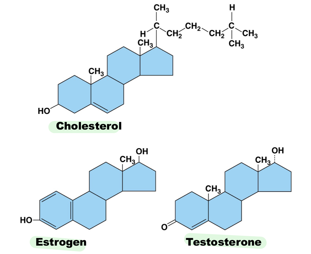 <p>Steroids structures involve <em>____ carbon rings. ex: </em>___</p>