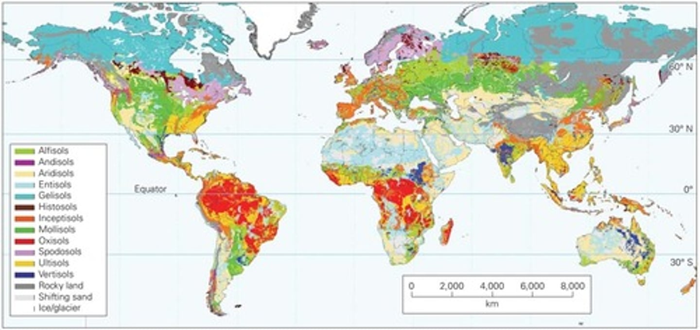 <p>white = glacier/ice <br><br>Grey = rocky mountain soil <br><br>Teal = podsol/tundra soil <br><br>purple =grey forest soils <br><br>green= brown earth deciduous forest soil <br><br>orange = red and brown "mediterranean woodland" soil<br><br>red = red and yellow tropical rain forest and savanna soils <br><br>dark blue = dark grey and black soils of tropics and subtropics (vertisols)<br><br>light blue = red and grey soils of the desert</p>