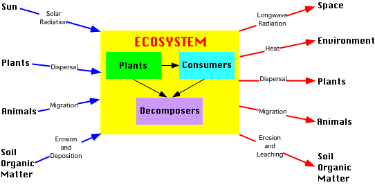 <p>system</p>