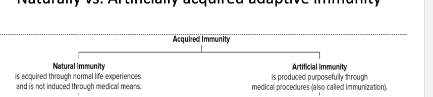 <p>Artificially acquired adaptive immunity</p>