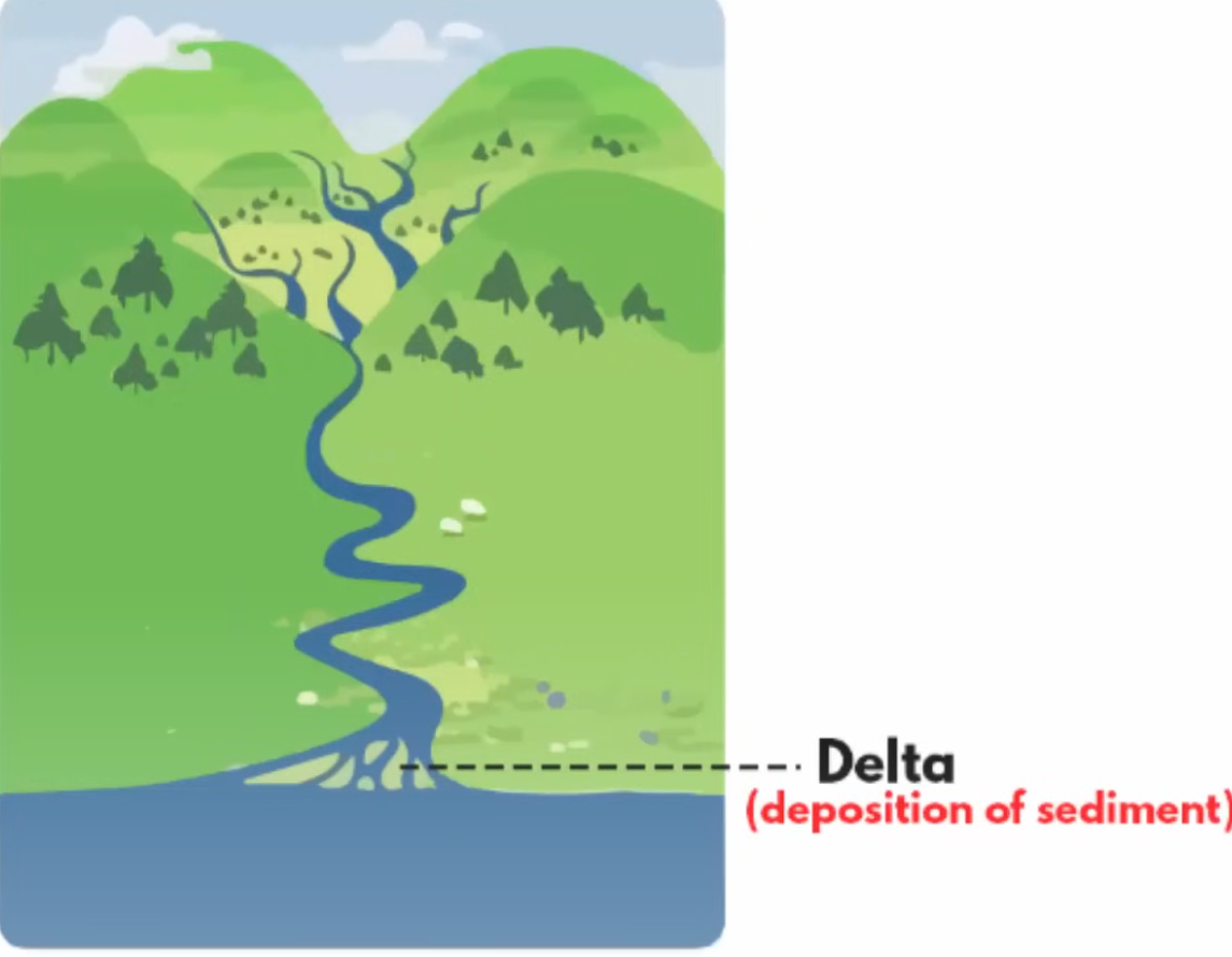 <p>landforms that are created by the deposition of sediment that is carried by a river </p><p>occurs when rivers slow down the sediments get accumulated and usually occur by the mouth of a river </p>