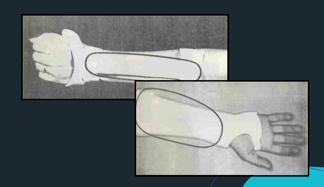 <p></p>