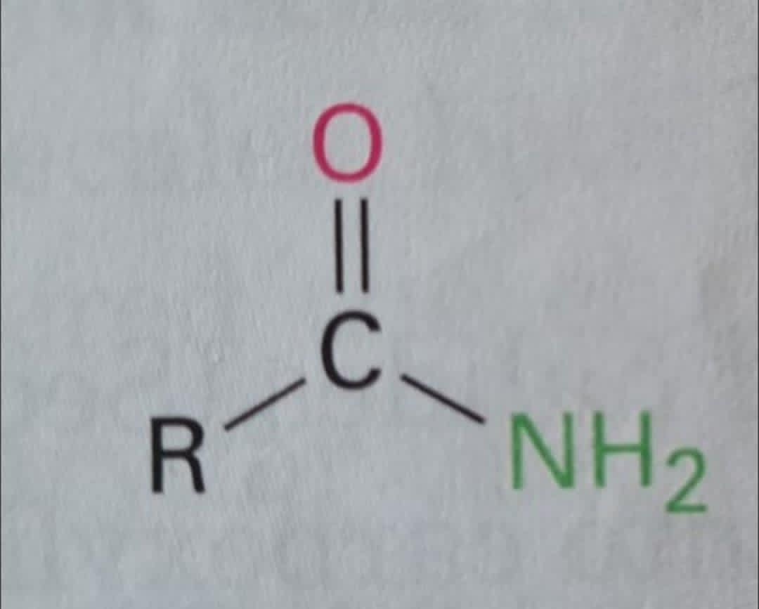 <p>Hvordan omdannes amid til carboxylsyre?</p>
