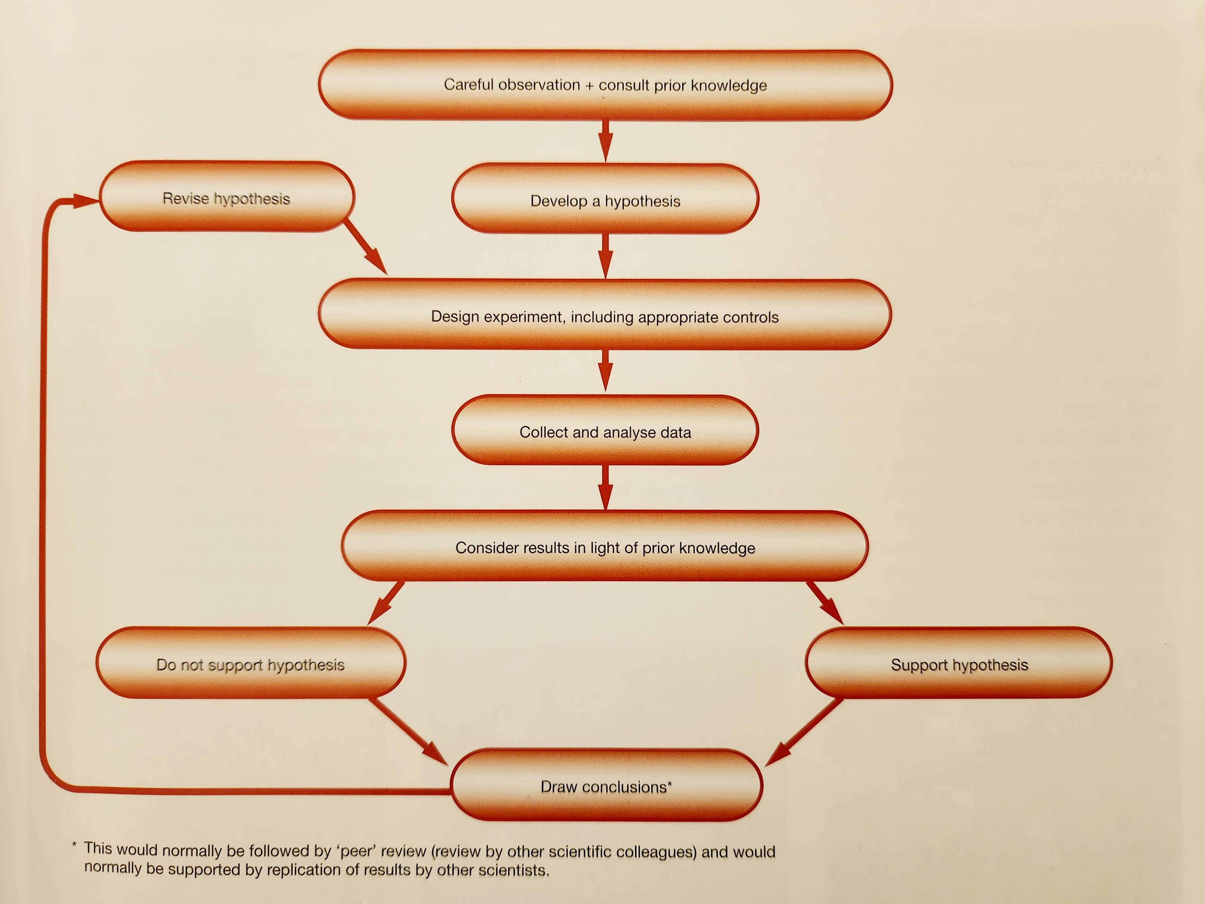 Figure 1; a scientific method flowchart