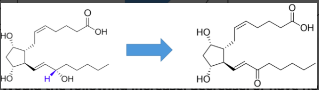 <p>would the following increase, decrease, or have no effect on stability?</p>