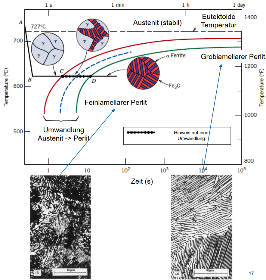 <p>· Feiner Perlit wird bei einem höheren Grad an Unterkühlung gebildet (bei ca. 550 °C) als grober Perlit (bei ca. 723 °C).</p><p>Die Ausbildung der Perlitstruktur (abwechselnde Lamellen aus Ferrit und Zementit) wird durch zwei konkurrierende Faktoren bestimmt:</p><ul><li><p><strong>Die Keimbildungsrate:</strong> Je größer die Unterkühlung <span><span>$$\Delta T$$</span></span> (Differenz zwischen Gleichgewichtstemperatur <span><span>$$A_1$$</span></span> und tatsächlicher Umwandlungstemperatur), desto größer ist die thermodynamische Triebkraft. Es entstehen mehr Keime pro Zeiteinheit. Viele Keime auf engem Raum führen zu einer feineren Struktur.</p></li><li><p><strong>Die Diffusionsrate:</strong> Die Bildung von Perlit erfordert, dass Kohlenstoffatome über Distanzen wandern, um Zementitlamellen zu bilden. Bei <strong>hoher Temperatur</strong> (geringe Unterkühlung) können die Atome weite Strecken zurücklegen, wodurch die Lamellen dicker und die Abstände größer werden (<strong>grober Perlit</strong>). Bei <strong>niedrigerer Temperatur</strong> (hohe Unterkühlung) ist die Diffusion träge. Der Kohlenstoff kann nur kurze Wege zurücklegen, weshalb die Lamellenabstände schrumpfen müssen, damit die Umwandlung überhaupt voranschreiten kann (<strong>feiner Perlit</strong>).</p></li></ul><p>○ Folgend bilden sich also bei tieferen Temperaturen (hoher Grad an Unterkühlung) viele dünne Lamellen (feiner Perlit) und bei höheren Temperaturen (tiefer Grad an Unterkühlung) wenige dicke Lamellen (grober Perlit).</p>