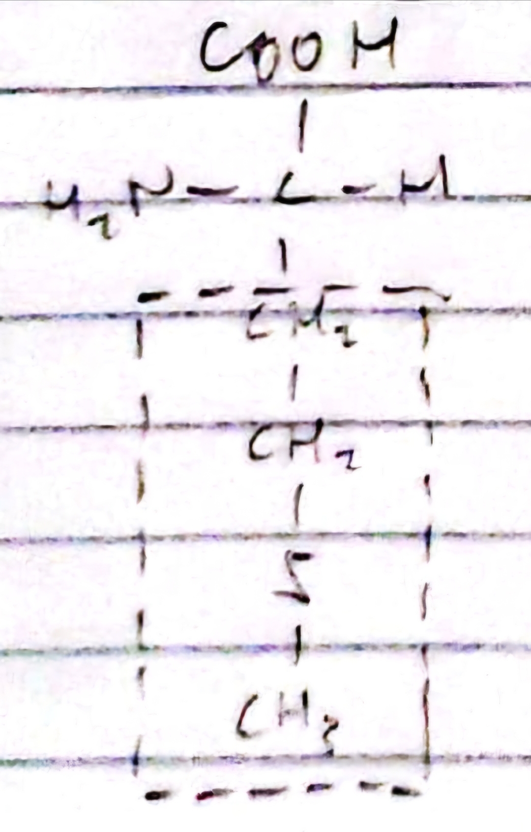 knowt flashcard image