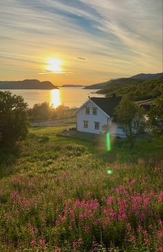 <p>Ved matallergi skjer den allergiske reaksjonen ofte i tarmen, og kan gi magesmerter og løs mage.</p>