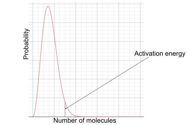 <p>this allows us to view the number of molecules with the energy to react</p><ul><li><p>on the left hand side of the activation energy mark, molecules have less energy than the activation energy and so they can’t react</p></li><li><p>on the right hand side, molecules have more energy than the activation energy and so they can react</p></li></ul><p></p>