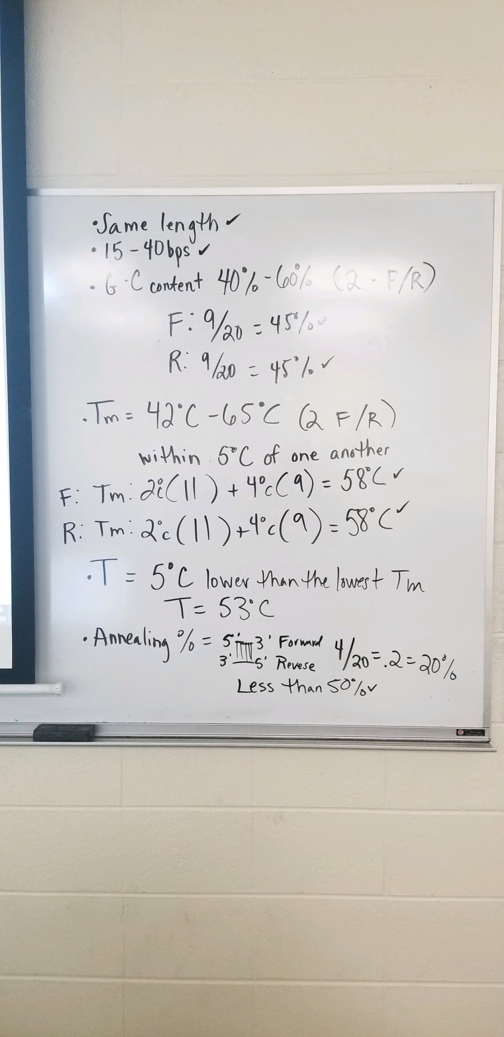 <ul><li><p>Both Primers must be same length- 15-40 bps.</p></li><li><p>G/C nucleotide content: Each primer must have 40%-60% G/C content. </p></li></ul><p>ex.)</p><p>F: 9/20=  (G/C / 20 bps total ) = 49% </p><p>R: 9/20=  (G/C / 20 bps total ) = 49% </p><ul><li><p>Tm = 42<span><span>℃ - 65℃, and are within 5℃ of eachother. </span></span></p></li></ul><p>ex.)</p><p>F: 2<span><span>℃</span></span>(11/20) + 4<span><span>℃</span></span>(9/20) = 58 <span><span>℃</span></span></p><p>R: 2<span>℃</span>(11/20) + 4<span>℃</span>(9/20) = 58 <span>℃</span></p><p><span>58℃ and 58 ℃  are within 5 ℃ .</span></p><ul><li><p>T= 5<span>℃  lower than whatever the lowest primer Tm was.</span></p></li></ul><p>ex.) </p><p>F: 58<span>℃  - 5℃  =53℃ . </span></p><p><span>(Both F and R Tm just as low)</span></p><ul><li><p>Calculate Annealing % rate. How often will bps match? Must be under 50%. </p></li></ul><p>ex. )</p><p>5’ - 3’</p><p>3’ - 5’.</p><p>count # of matches vs # of bps. </p><p></p><p></p><p></p>