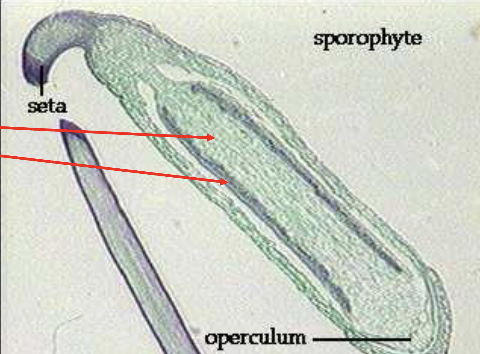 <p>What is this?</p>