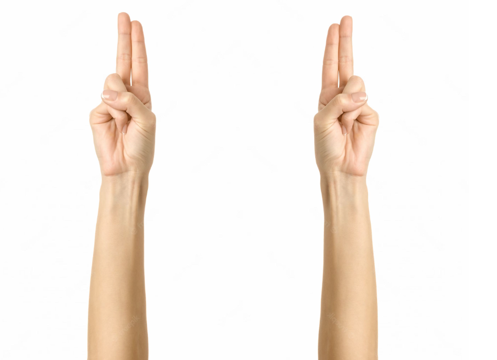 What does this sign mean? (two fingers, both hands up)