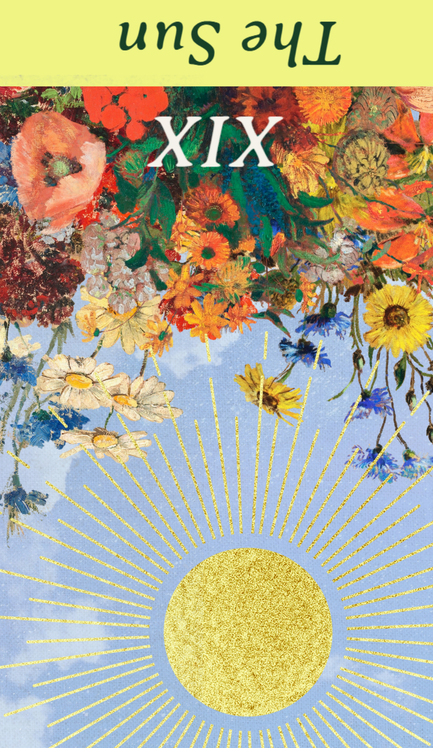 <p>The Sun Reversal</p>