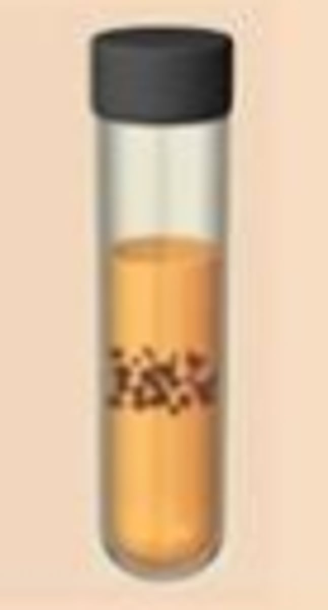 <p>only aerobic growth; oxygen required in low concentration</p>
