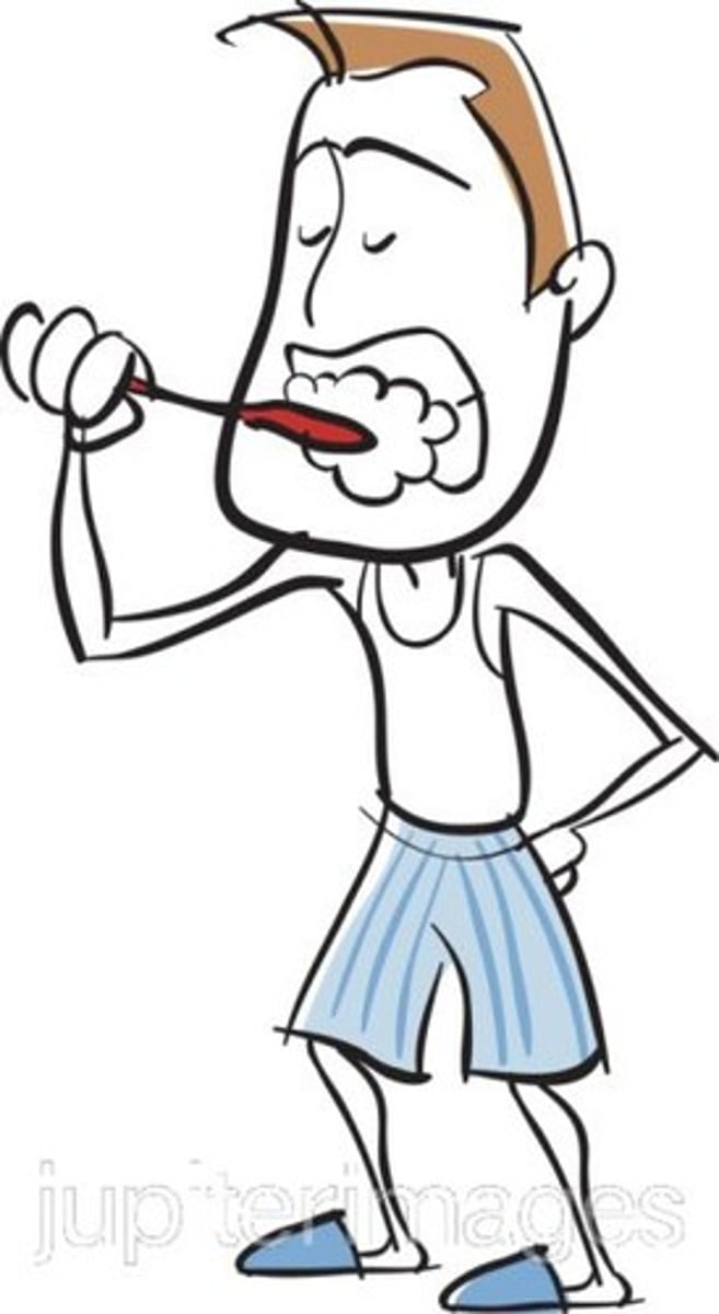 <p>to brush one's teeth</p>