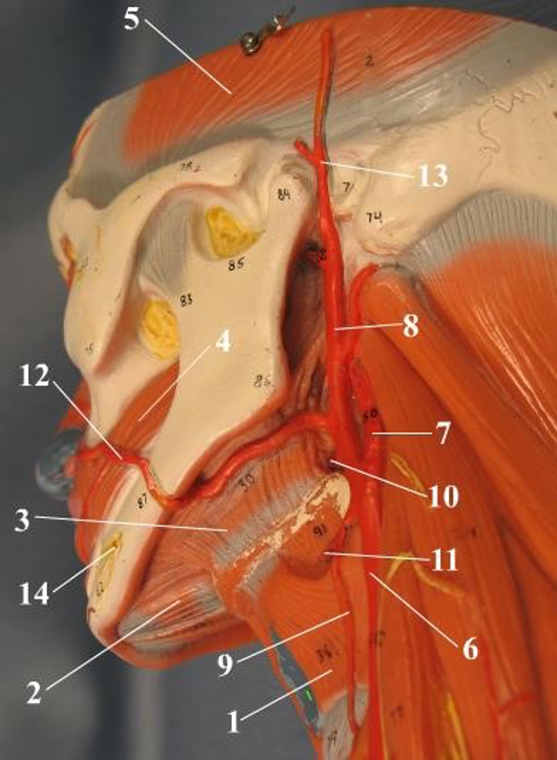 <p>2</p>