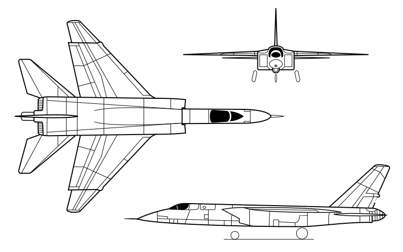 <p>All moving vertical tail</p>