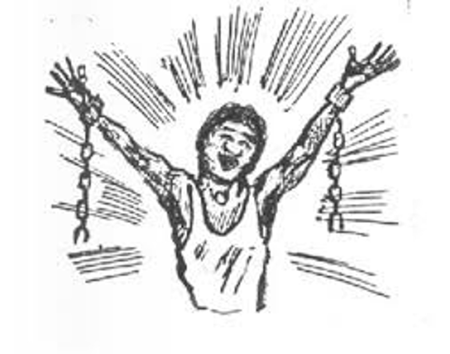 <p>person who has been freed from slavery.</p>