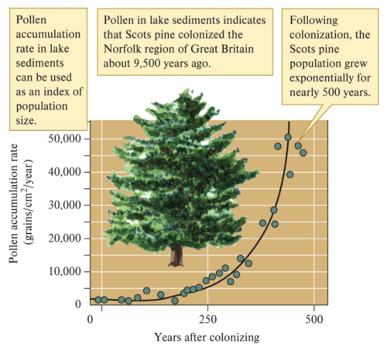 <p>Assumption of constant rate of per capita increase may seem unrealistic. Natural populations may grow exponentially for short periods of time if abundant resources are present</p><p>- Pollen records document growth of postglacial tree populations in Britain</p><p>- Exponential growth for 400-500 years</p>