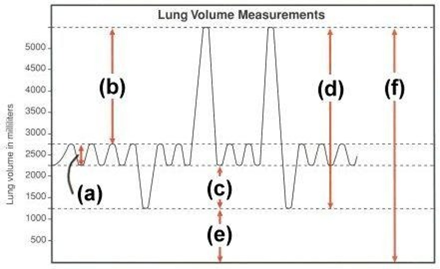 <p>What are the parts of components capacity and their meaning?</p>